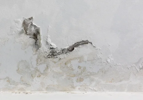 Water Seepage In Buildings